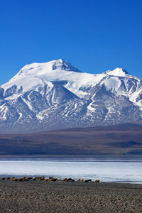 snowy mountains and frozen lake in Tibet